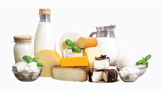 8-dairy-products
