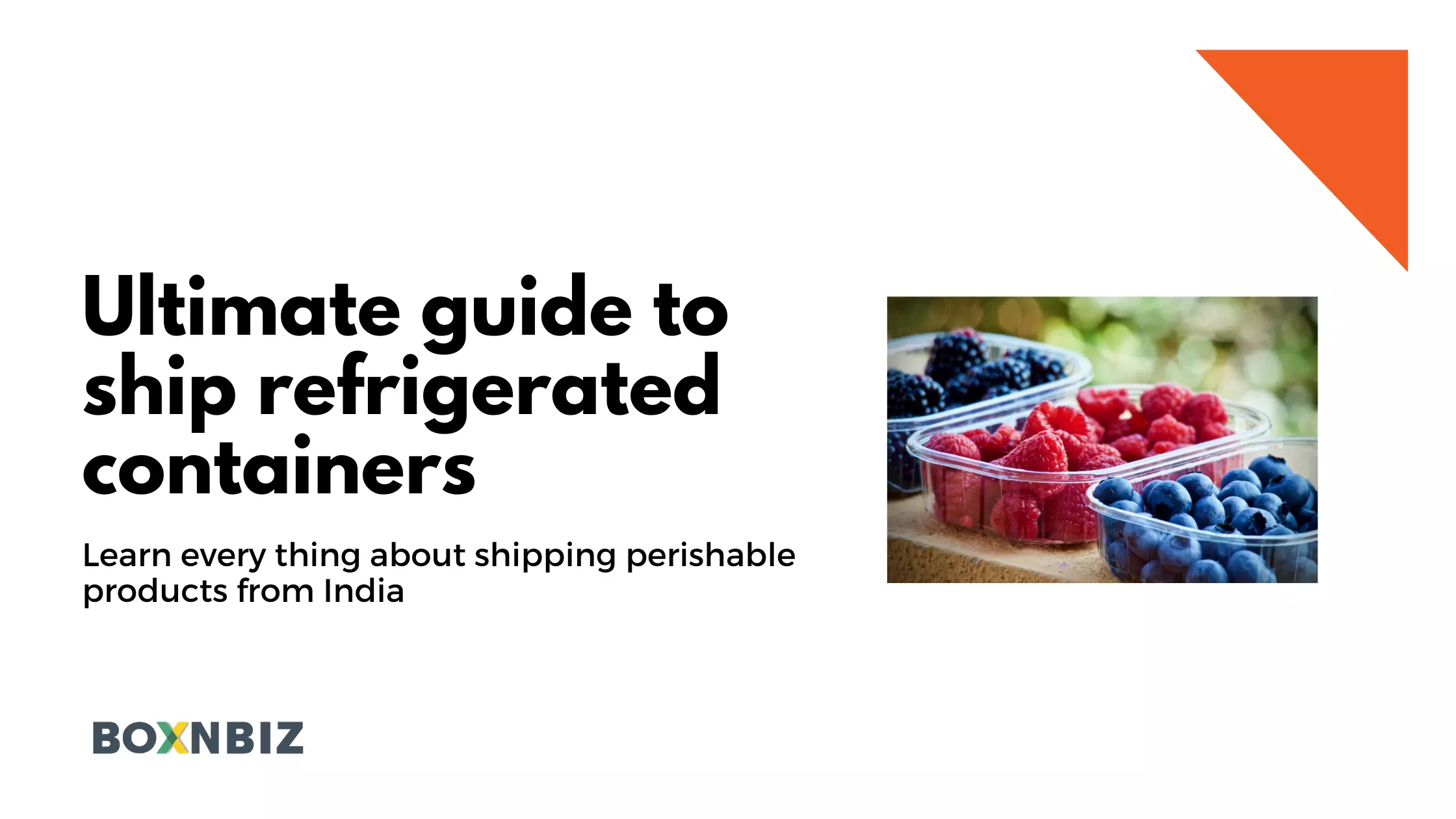 How to Ship Perishable Goods In Reefer Container