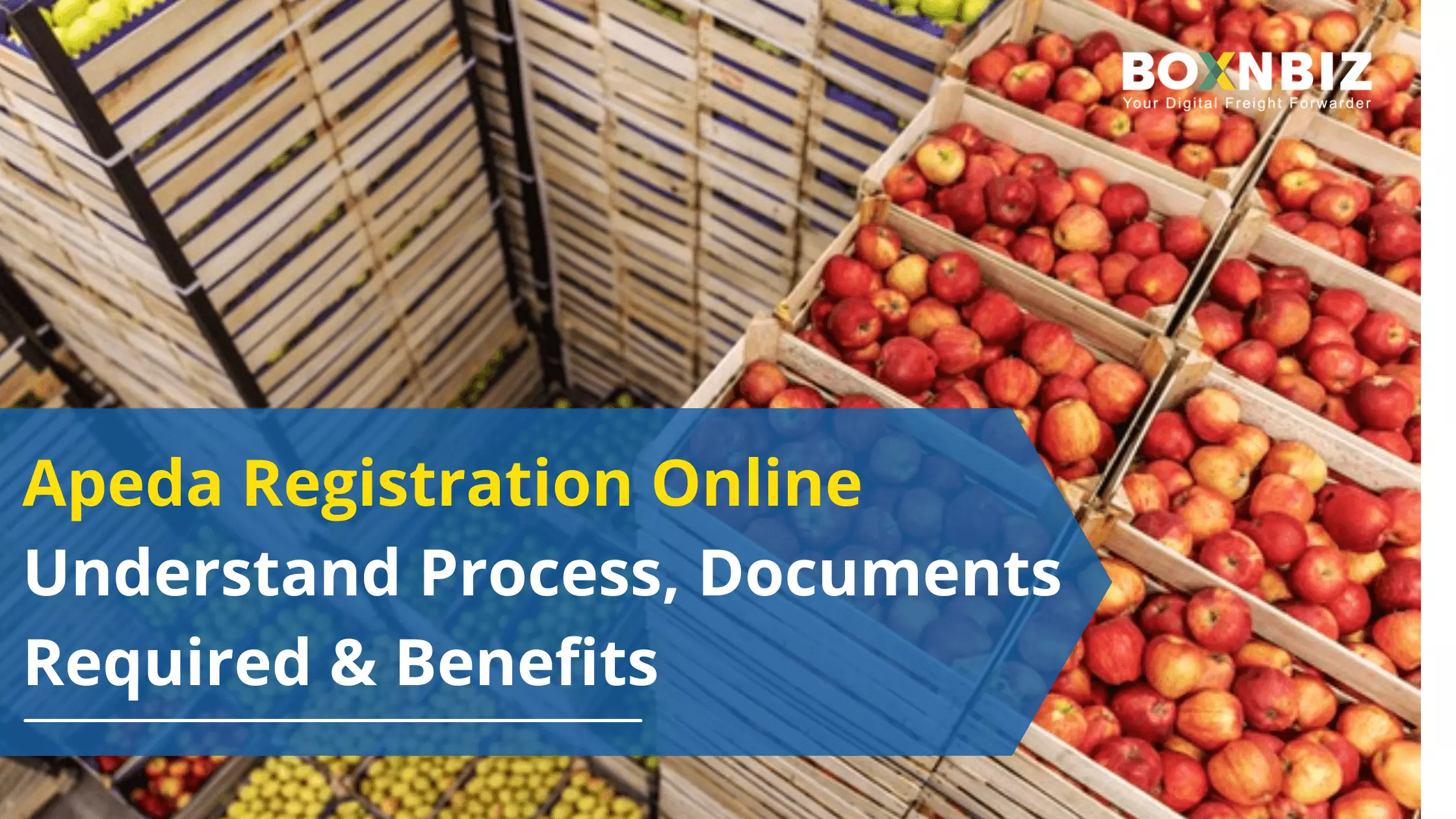 Apeda Registration Online: Understand Process, Documents Required..